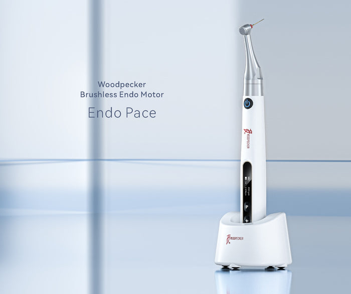 Woodpecker Brushless Endo Motor - Endo Pace