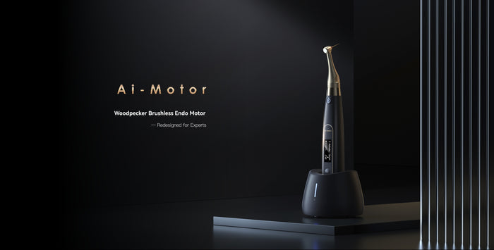 Ai-Motor Endo Motor with T-Mode