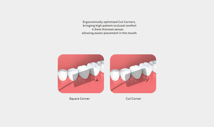 Woodpecker i-Sensor Dental RVG Digital Sensor