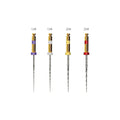 NiTi S-Shaped M Pilot Rotary Files 21mm (Assorted)