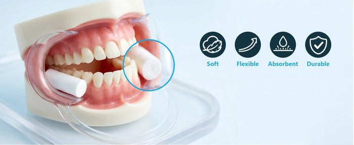 Dental Cotton Rolls (10x38mm) 600 Pcs per bag