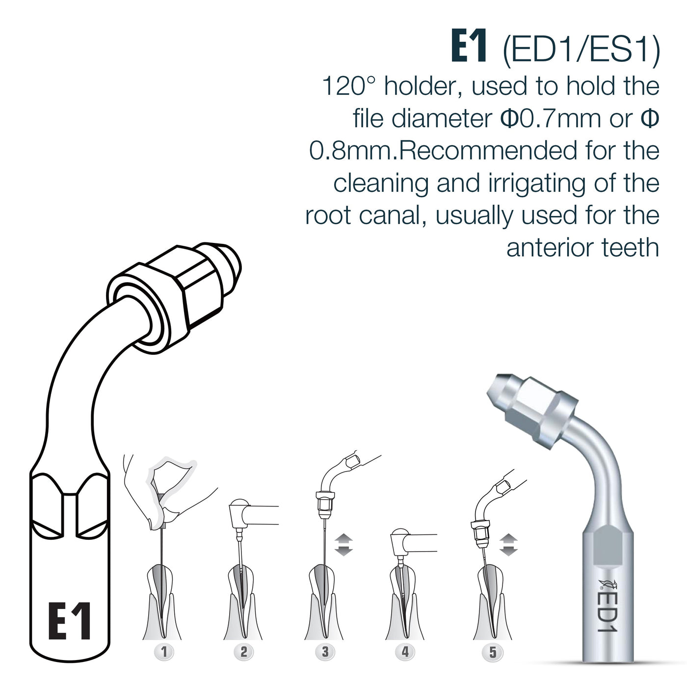 🎁 Endo Scaler Tips DTE Compatible (ED) (100% off) | ED1 | VSDent