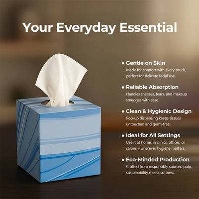 Facial Tissues Cube 2 Ply 70 sheets (Pack of 24