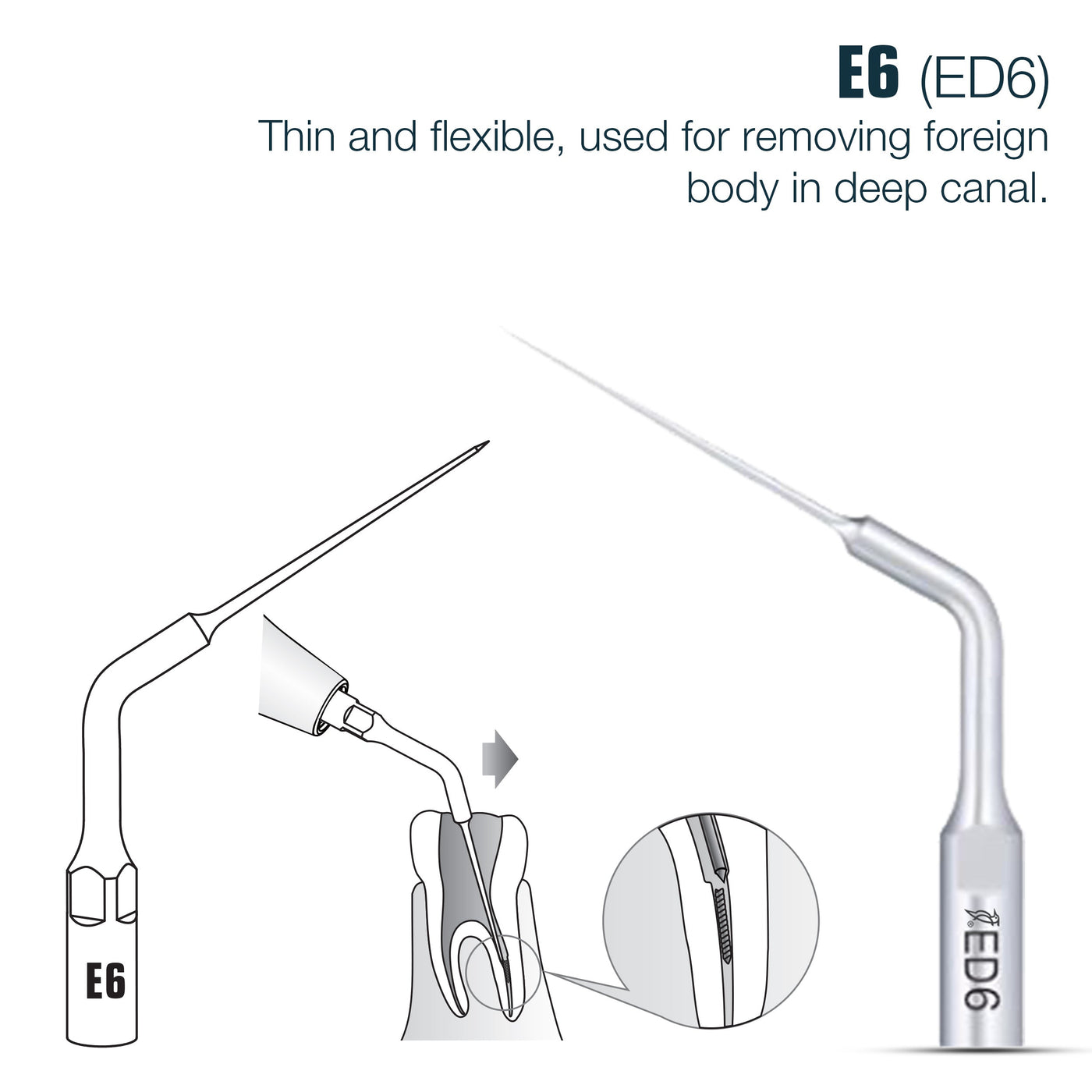 🎁 Endo Scaler Tips DTE Compatible (ED) (100% off) | ED6 | VSDent