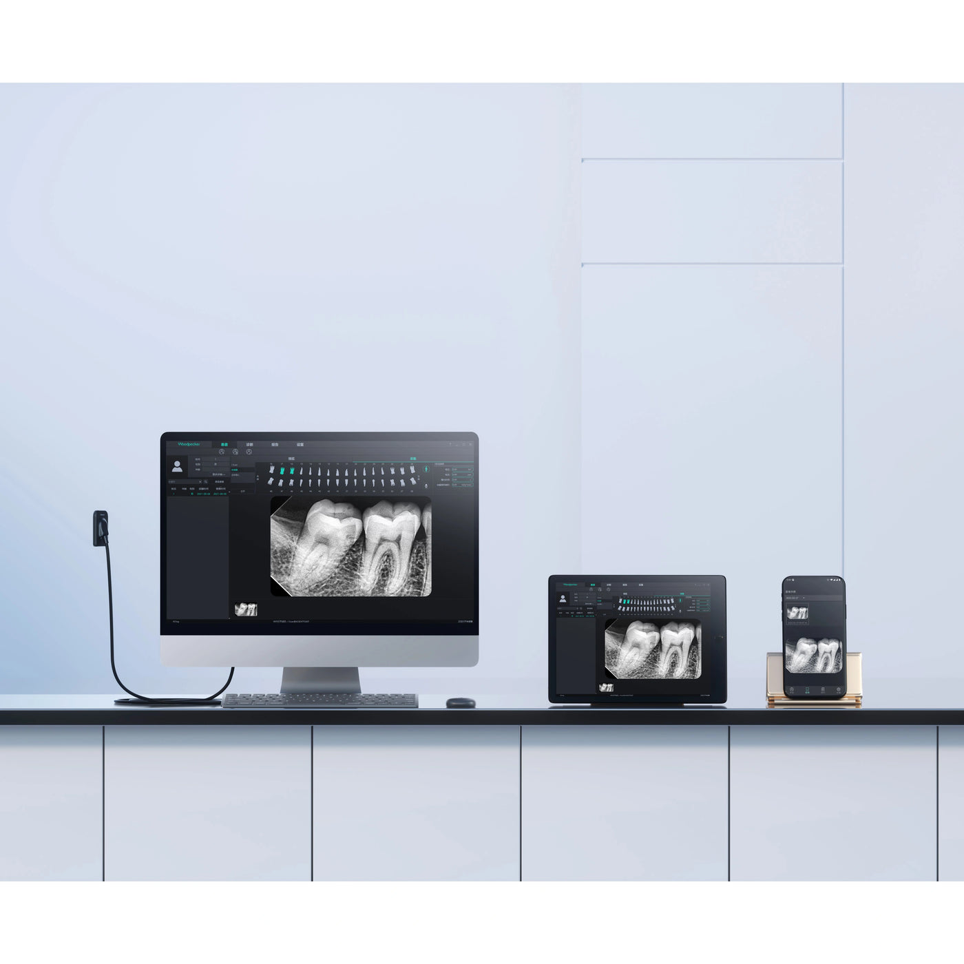 Woodpecker i-Sensor Dental RVG Digital Sensor