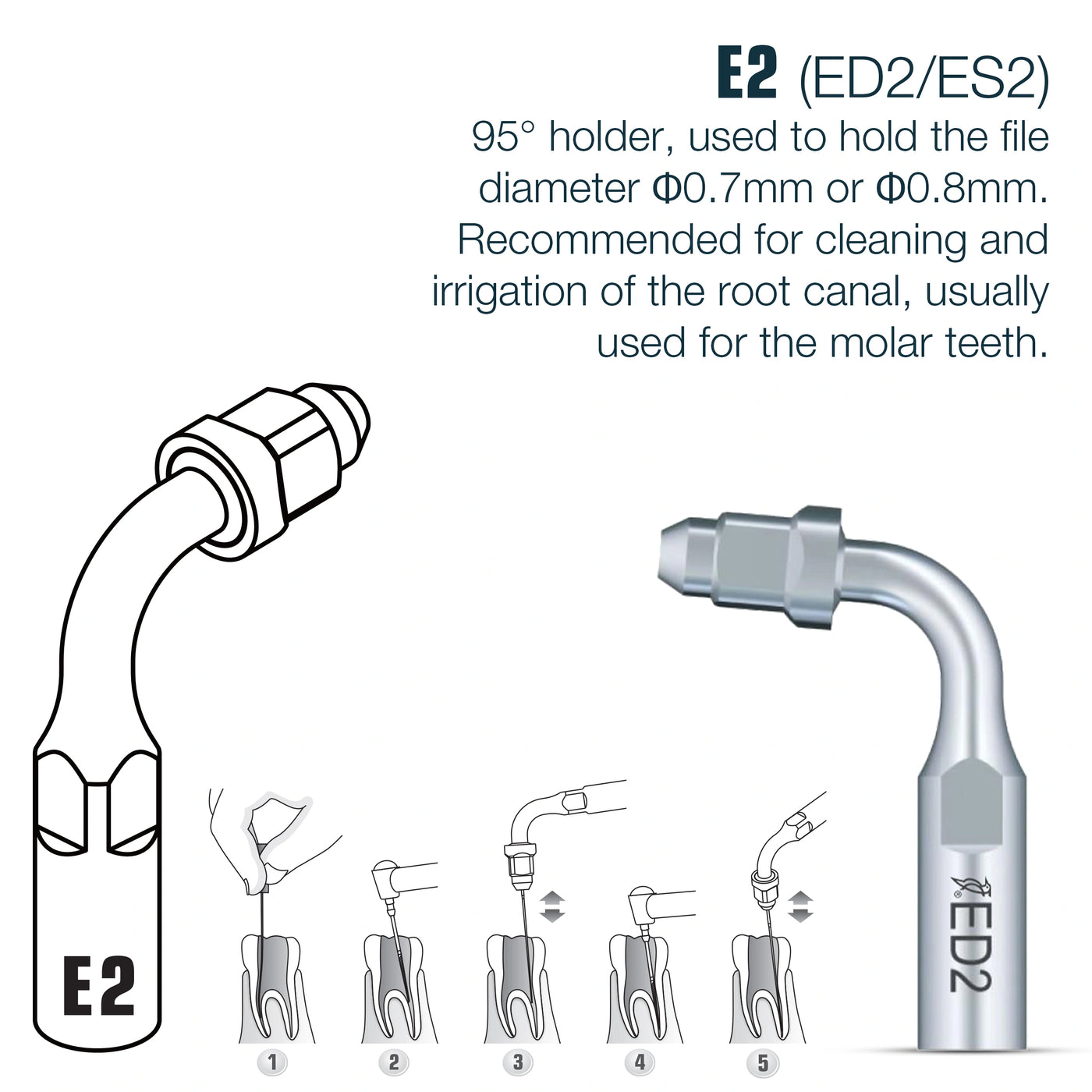 Endo Scaler Tips DTE Compatible (ED)