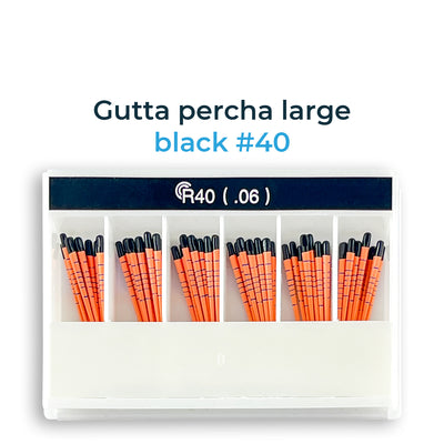GAPA-Pro R Gutta Percha Points R40(.06) (60 Points) | Default Title | VSDent
