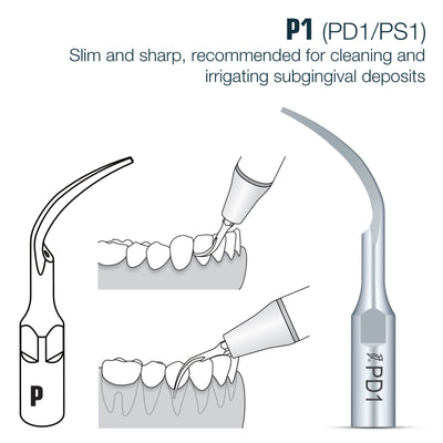 🎁 Perio Scaler Tips DTE Compatible (PD) (100% off) | PD1 | VSDent