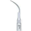 EMS/Woodpecker Compatible Scaler Tips P1