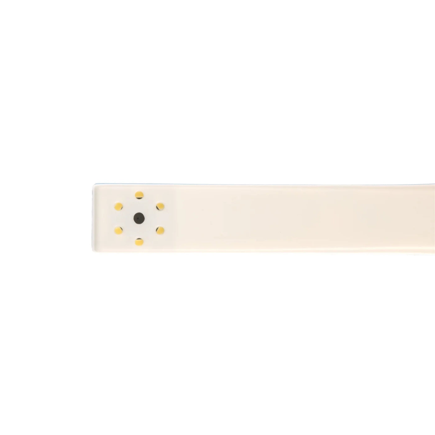 HDI-200A Intraoral Camera with Voice Record | VSDent