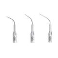 W&H Universal Piezo tip set 1U, 3U, 1P with Tip Card