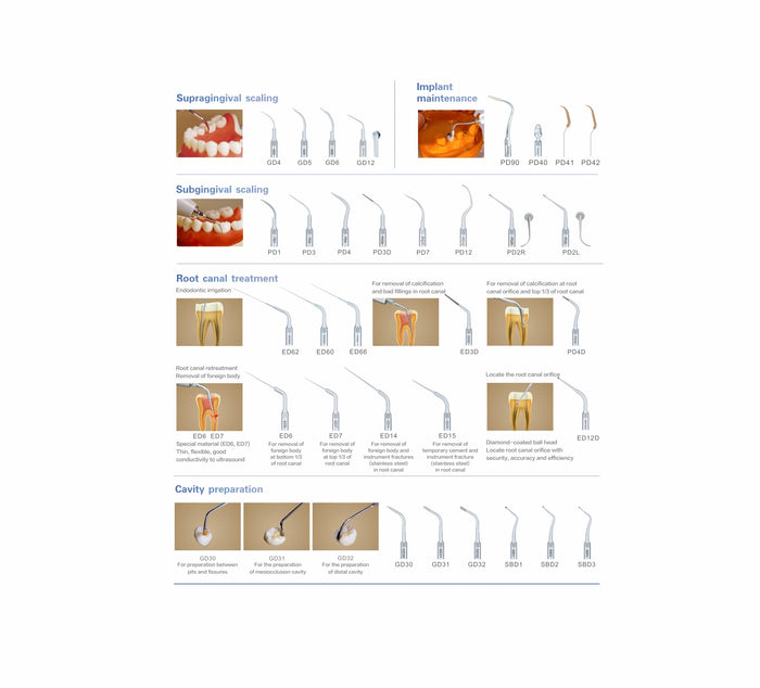 DTE D600 LED - Ultrasonic Portable Scaler Unit