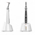 DTE Woodpecker Endo Smart Micro Motor with Cordless Handpiece