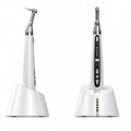 DTE Woodpecker Endo Smart Micro Motor with Cordless Handpiece