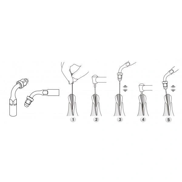 DTE Compatible Endo Scaler Tips ED1